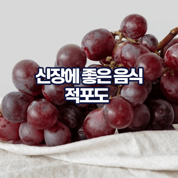 신장에 좋은 음식 적포도