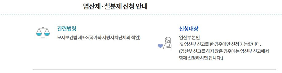 임산부 영양제 지원받는 법 (철분제,엽산제) 보건소이용팁