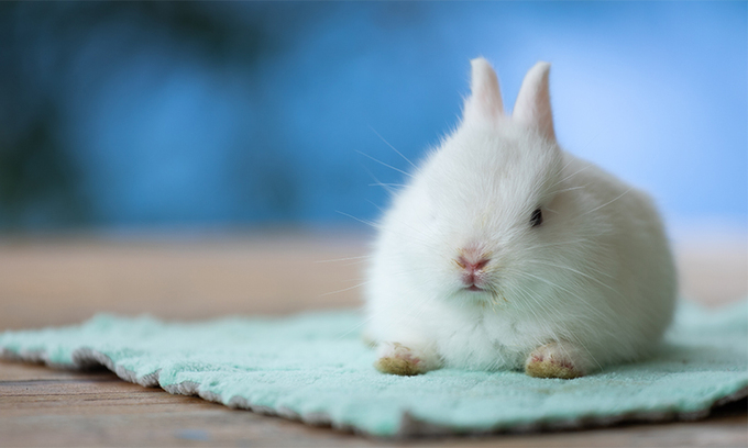 오늘의-운세-2023년-12월-28일-오늘의-띠별-운세