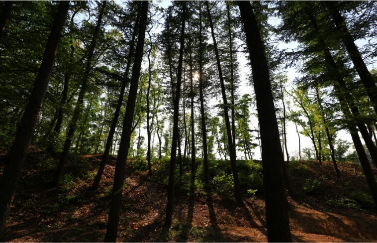 아름다운 고대산의 자연풍경