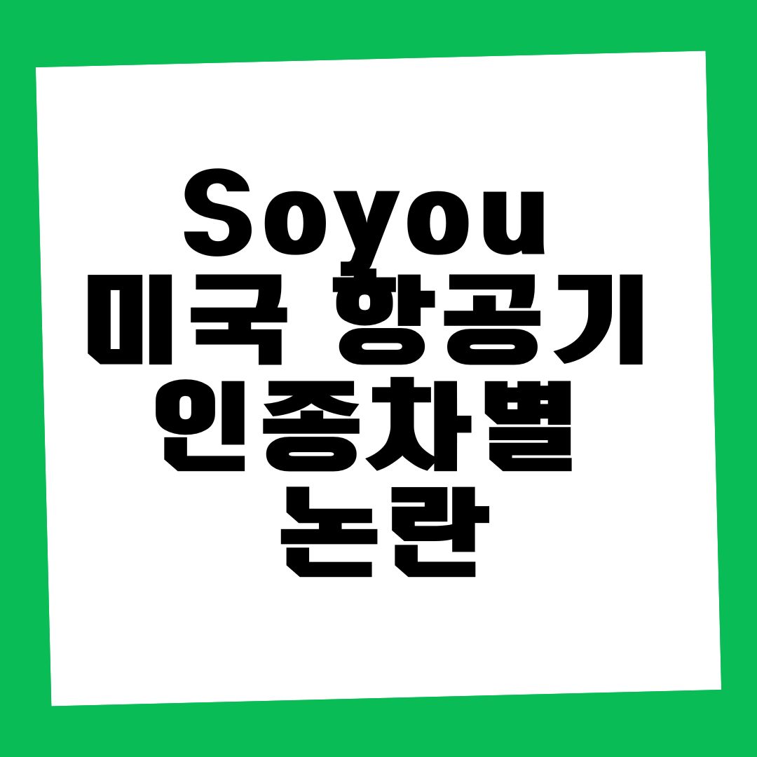 soyou 미국 항공기 인종차별 논란