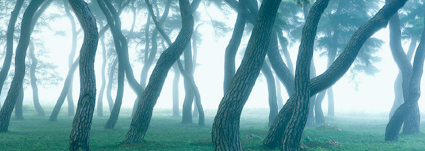 계절의 변화를 세분화한 24 절기 중 '소서' 이해하기