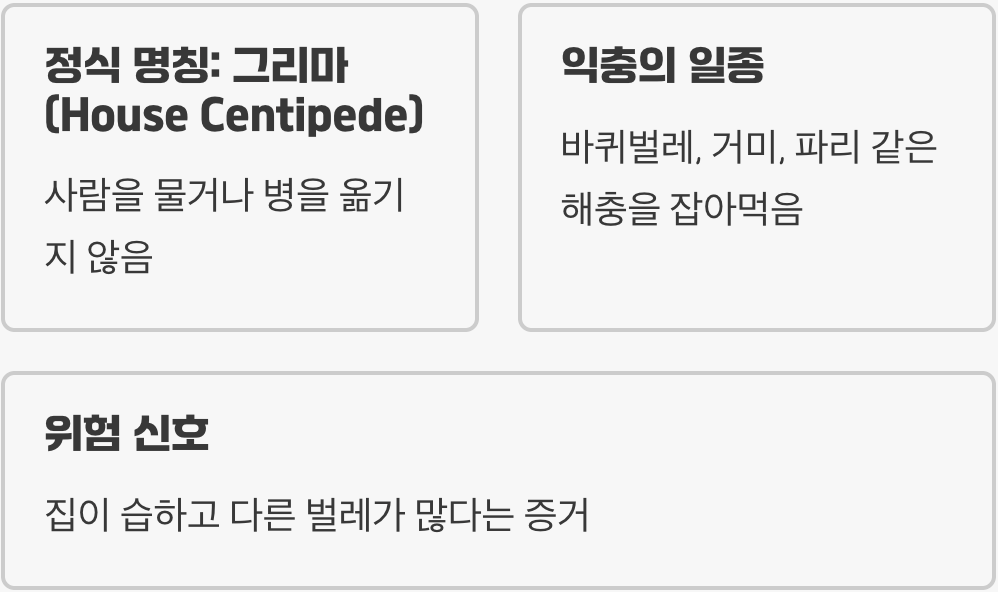 우리 집 불청객, 돈벌레의 진짜 정체