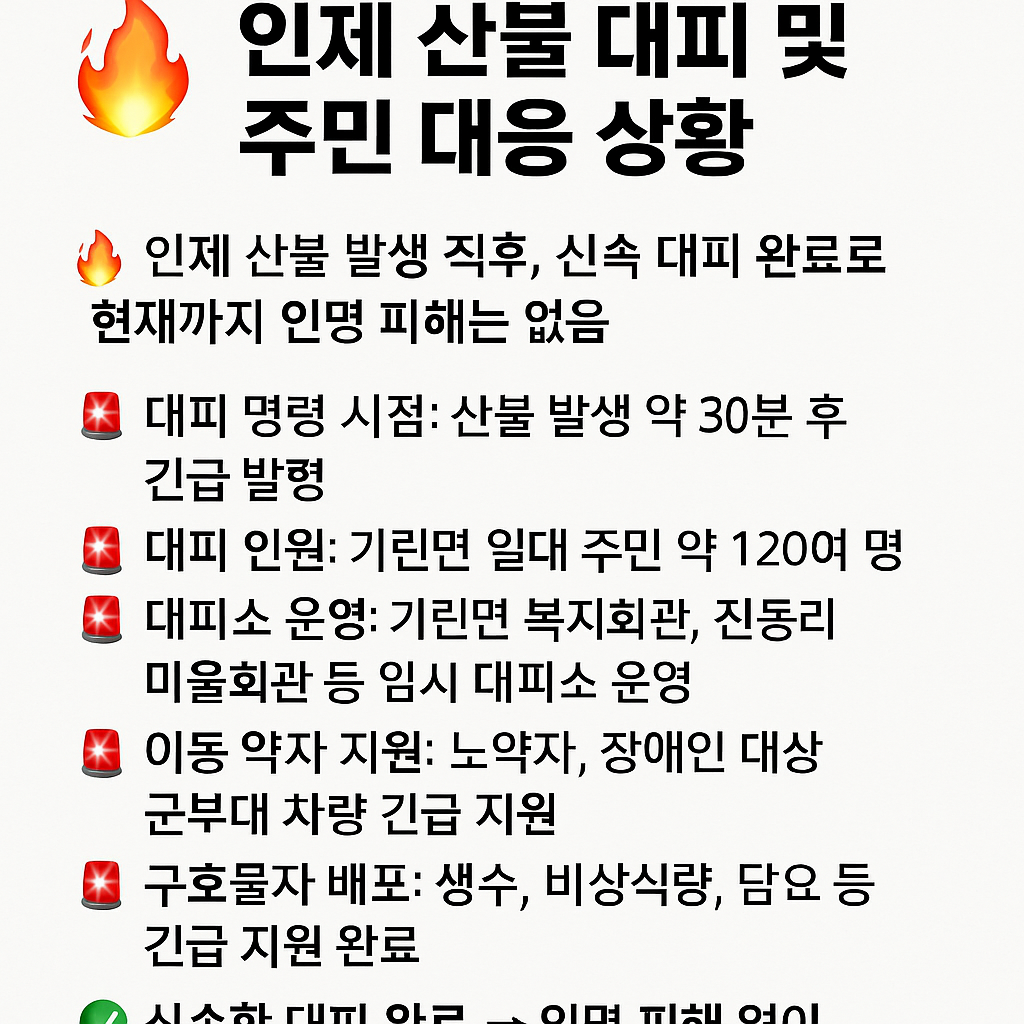 ⑤ 인제 산불 대피 및 주민 대응 상황 - 한눈에보는 사진