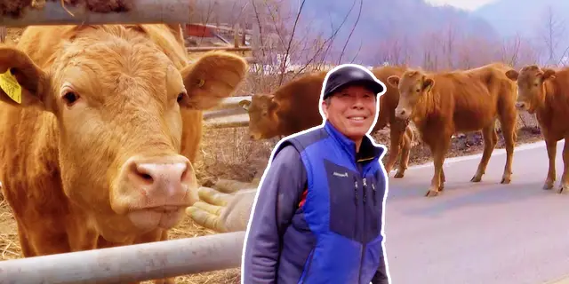 순간포착 세상에 이런일이 뜸 사랑 모녀, 기적의 쌍두 도마뱀 '우리두리', 캔공예아저씨, 기적의 귀'소'본능 방송 정보