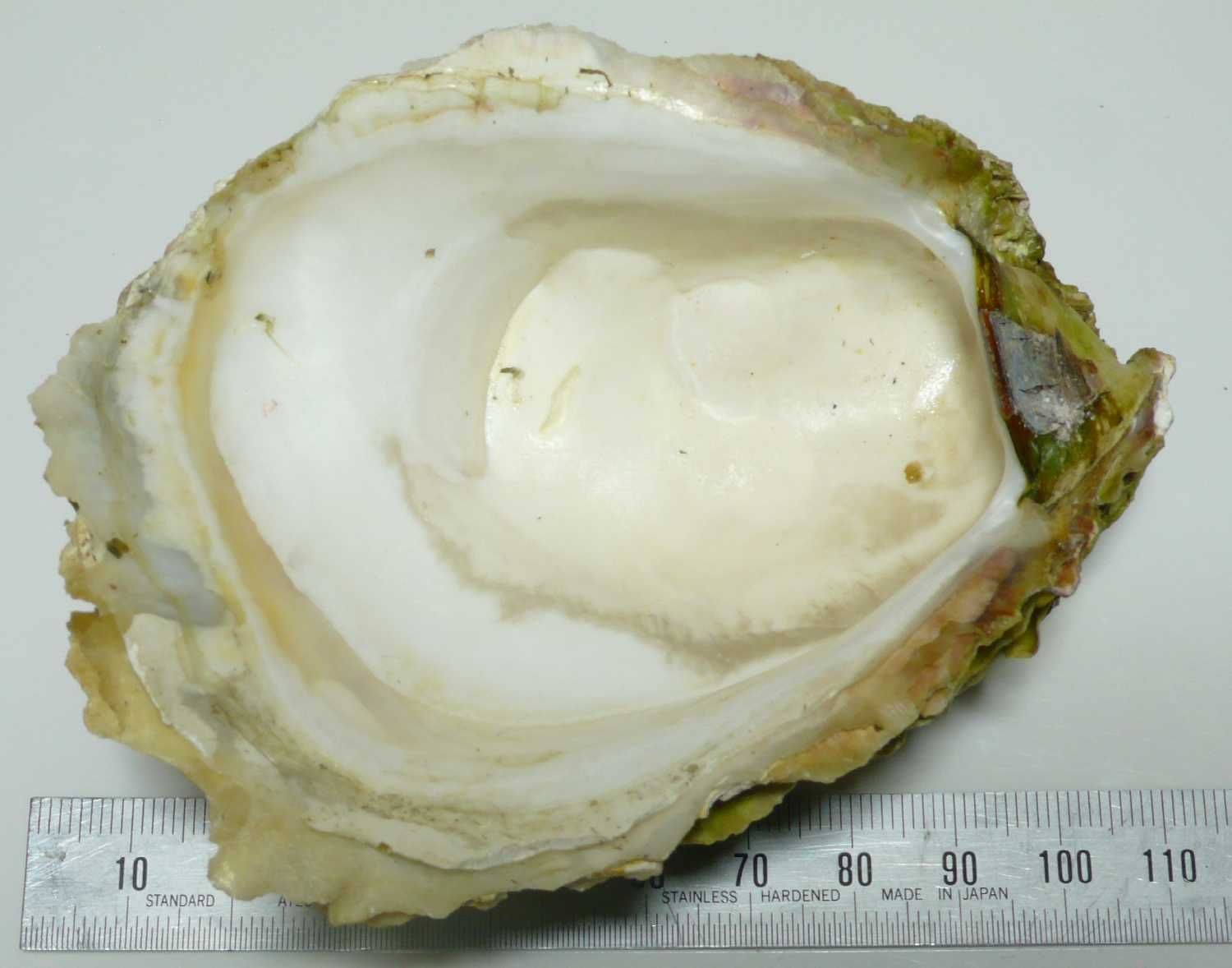바위굴_사진