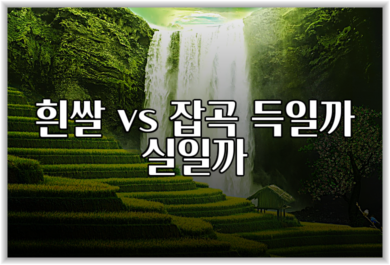 흰쌀 vs 잡곡 득일까 실일까