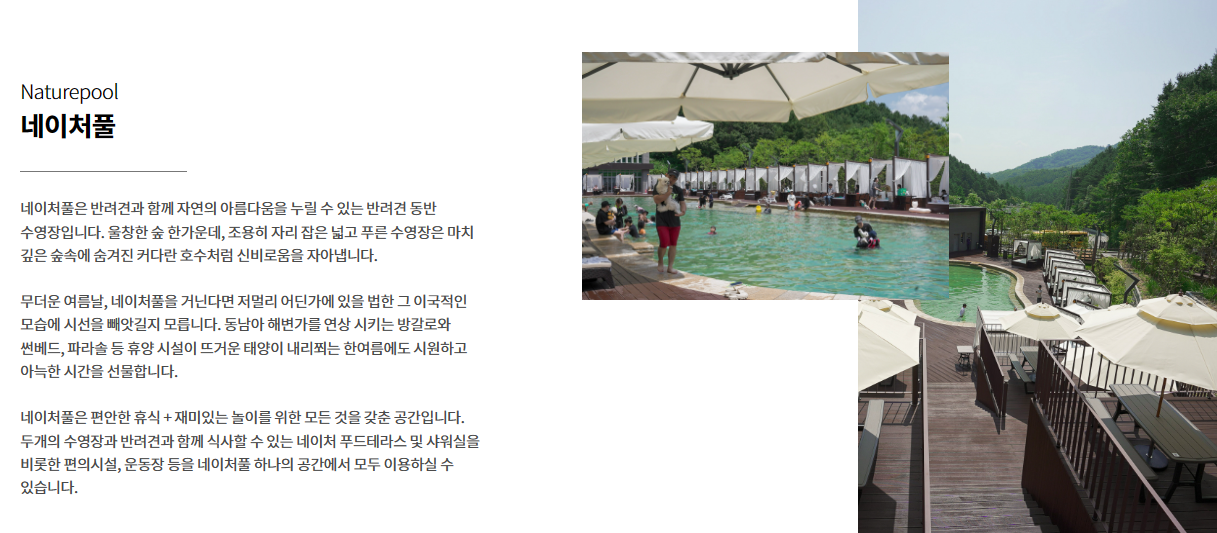 강아지숲-네이처풀