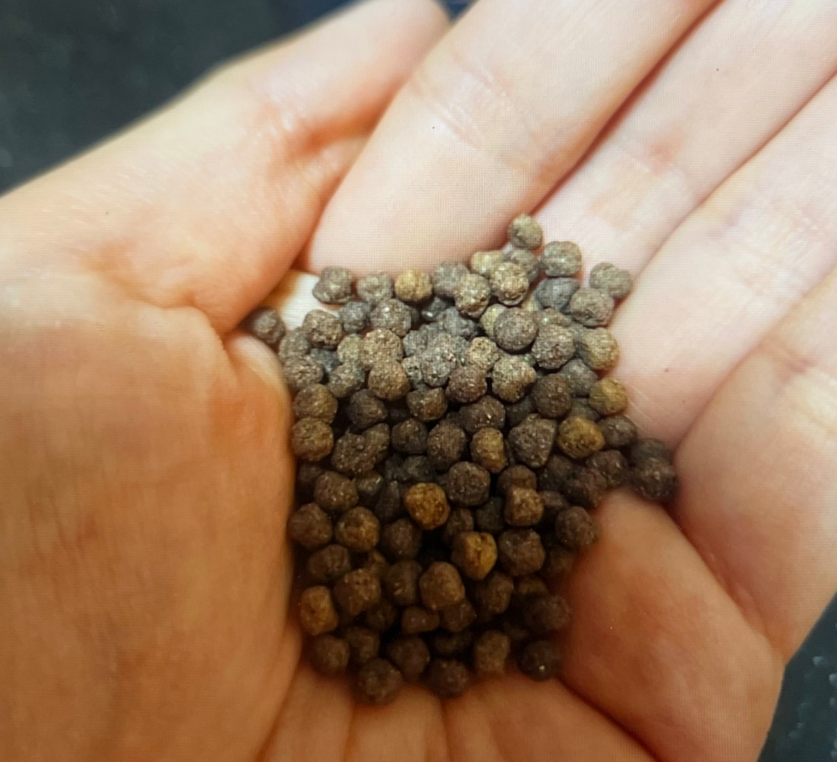 김오곤 다이어트 환 구매 후기 증명사진