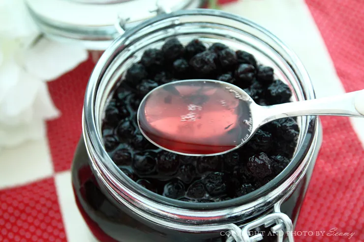 아로니아 효소만드는법과 효능효과 부작용 꽃 엑기스 활용법_2