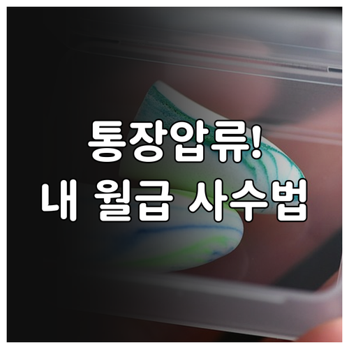급여 통장 압류 시 대응 전략과 소득..