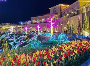 퍼스트가든빛축제