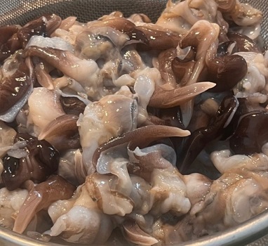 제철-새조개샤브샤브