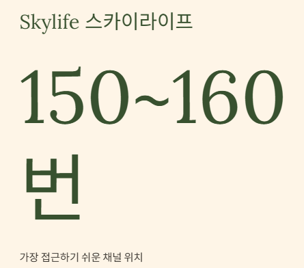 바둑TV 편성표 IPTV 채널번호부터 실시간 중계까지 모든 것을 한눈에 확인하는 완벽가이드