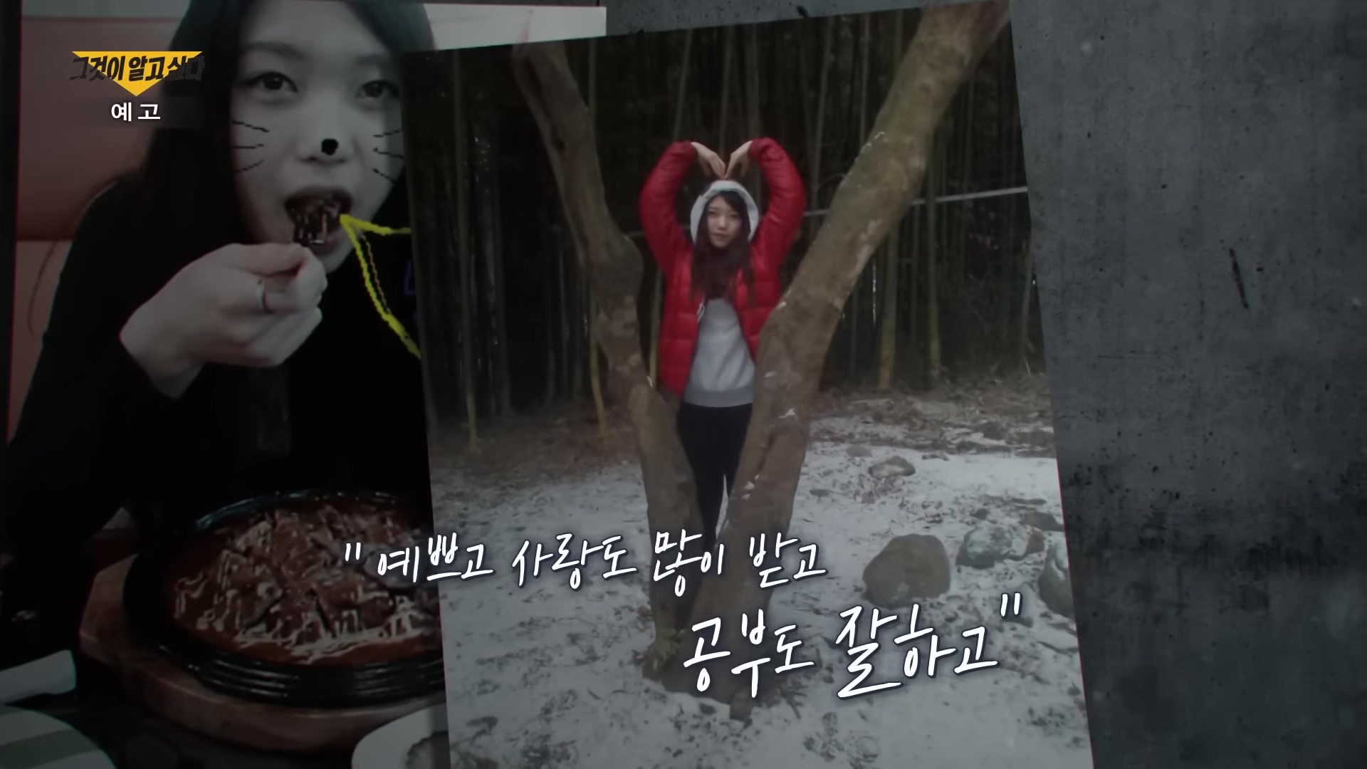 부산 금정여고 체험학습 학교 폭력 동급생 술 먹여 처진 상태로 추락 얼굴 멍자국 정다금 사망사건 가해자 진술 및 사진 인스타