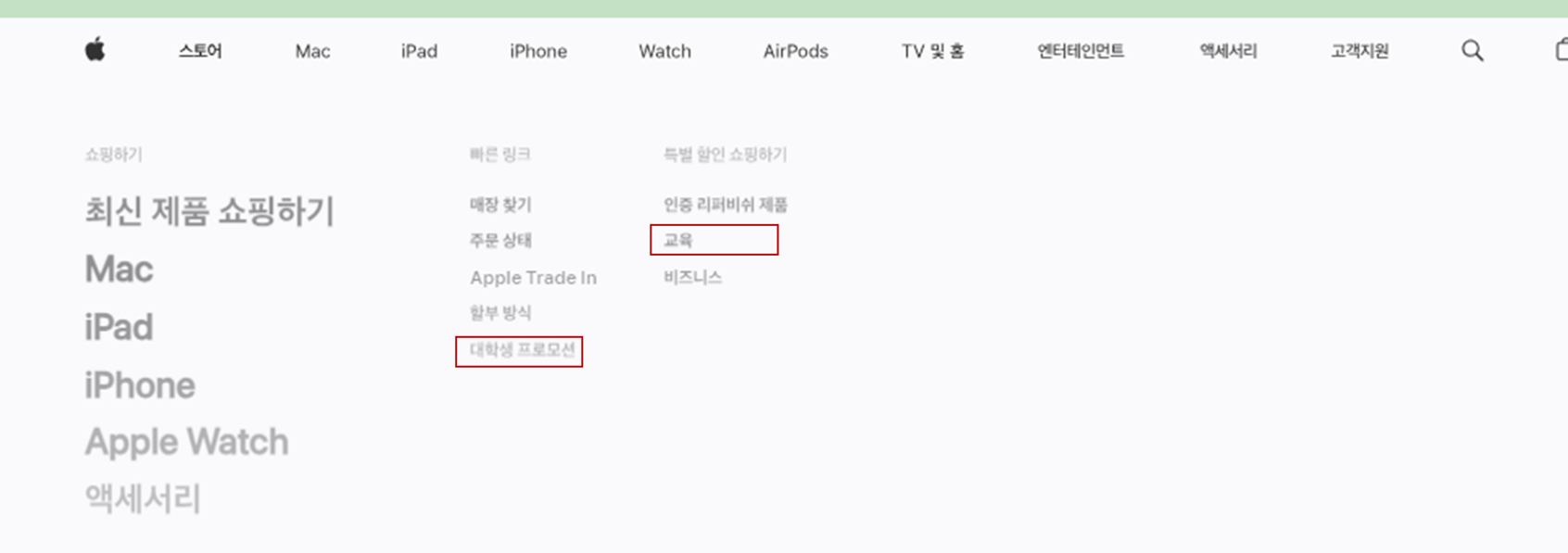 애플스토어항목