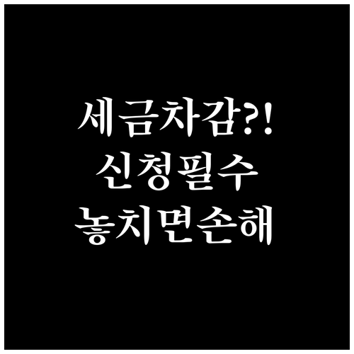 세금포인트 국민비서 알림 신청하고 납..