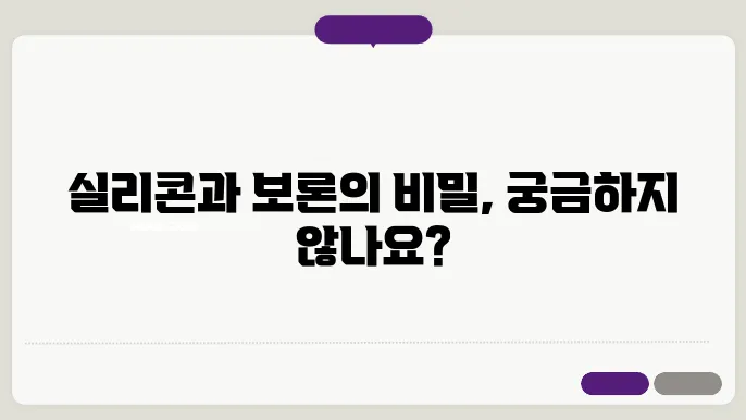 무기고분자: 실리콘과 보론 화합물