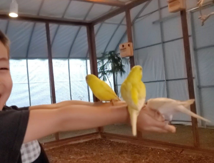 센트럴 곤충 생태농장