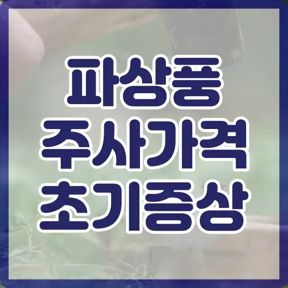 파상풍 원인