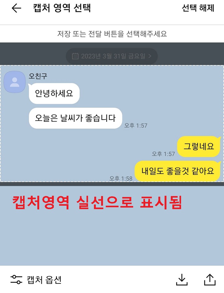 실선으로 캡처영역 표시됨