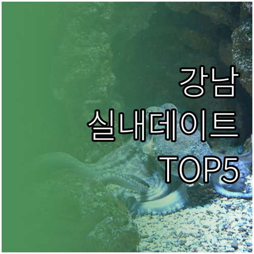 겨울철 강남 실내 데이트 명소 TOP..