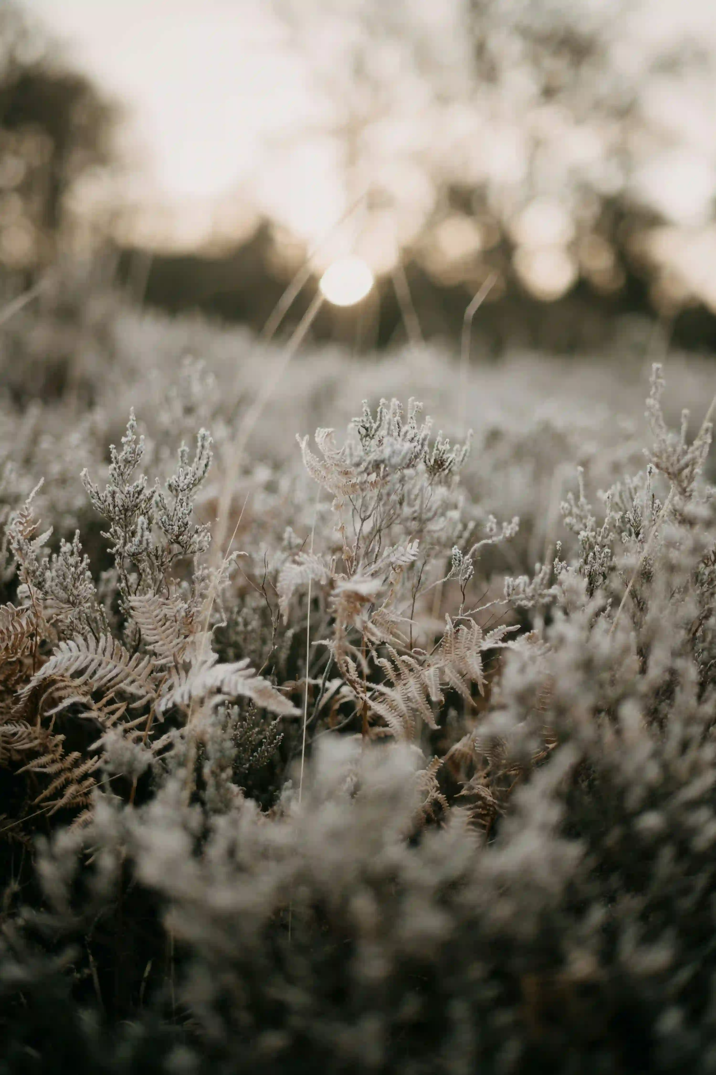 B형독감 잠복기 총정리 (+A형과 차이&middot;격리기간&middot;예방)
