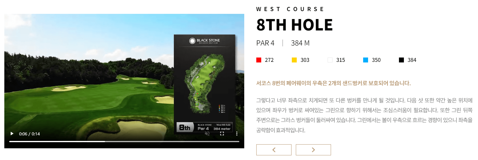 블랙스톤 골프클럽 서코스 8