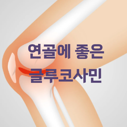 연골에 좋은 글루코사민