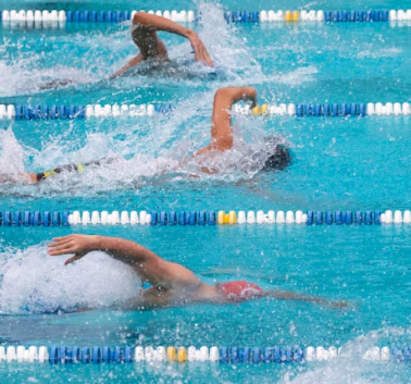 고지혈증 증상 원인 예방법 음식