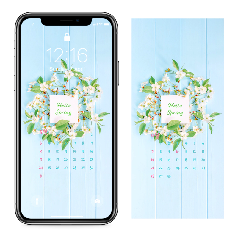 05 원형 벚꽃 장식 AB - 2024년3월 아이폰달력배경화면