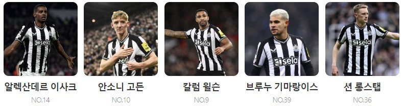 토트넘 뉴캐슬 중계 일정(+ 경기 시청 방법)