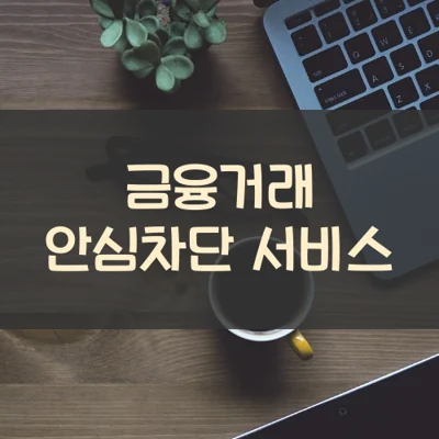 금융거래 안심차단 서비스