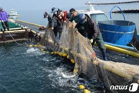 제 4회 홍성남당항 바다송어 페스티벌 기본정보 와 특징 소개