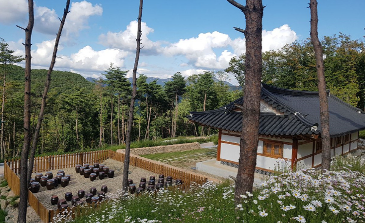 속리산 숲체험휴양마을