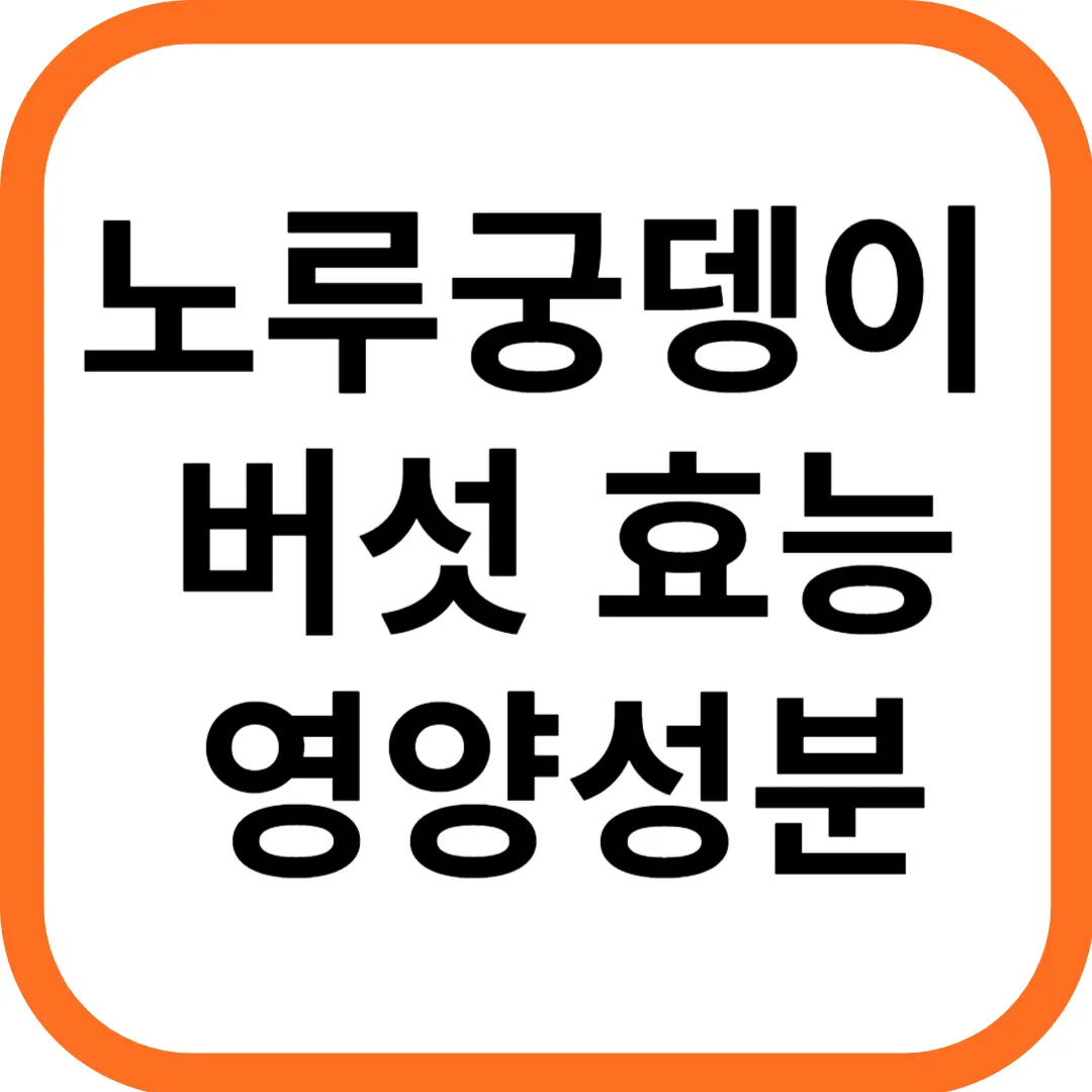 노루궁뎅이버섯 효능 및 영양성분