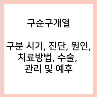 구순구개열-텍스트