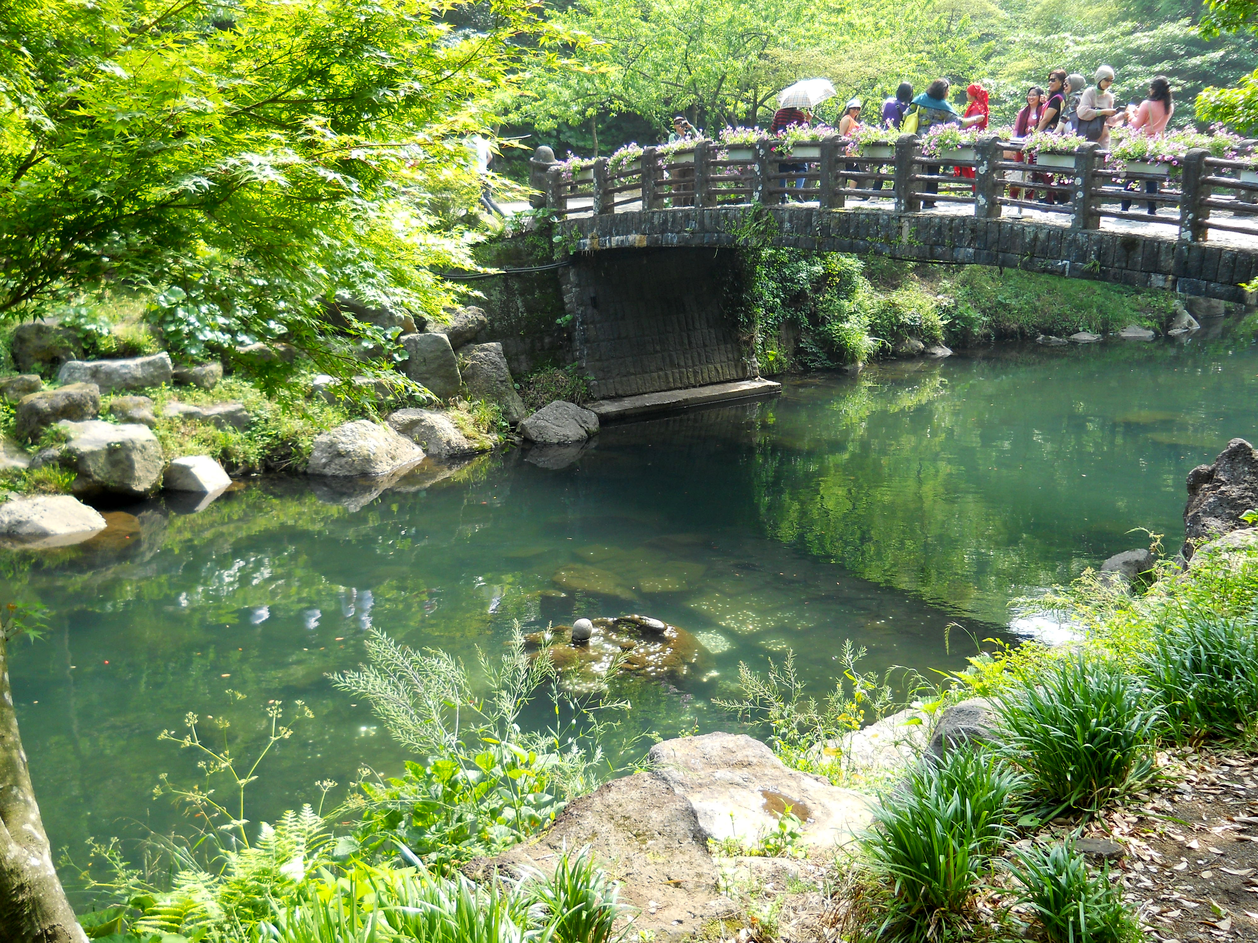 천지연폭포(Cheonjiyeon Pokpo Falls)