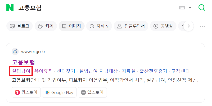 고용보험