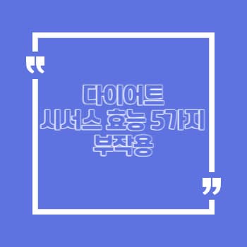 시서스효능
