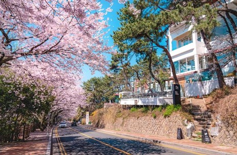 해운대 달맞이길