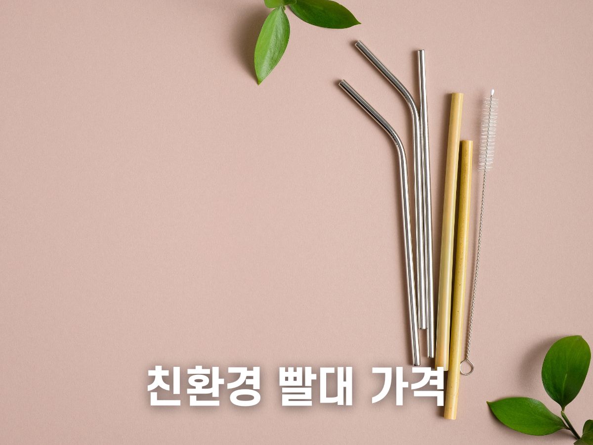 친환경 빨대 가격