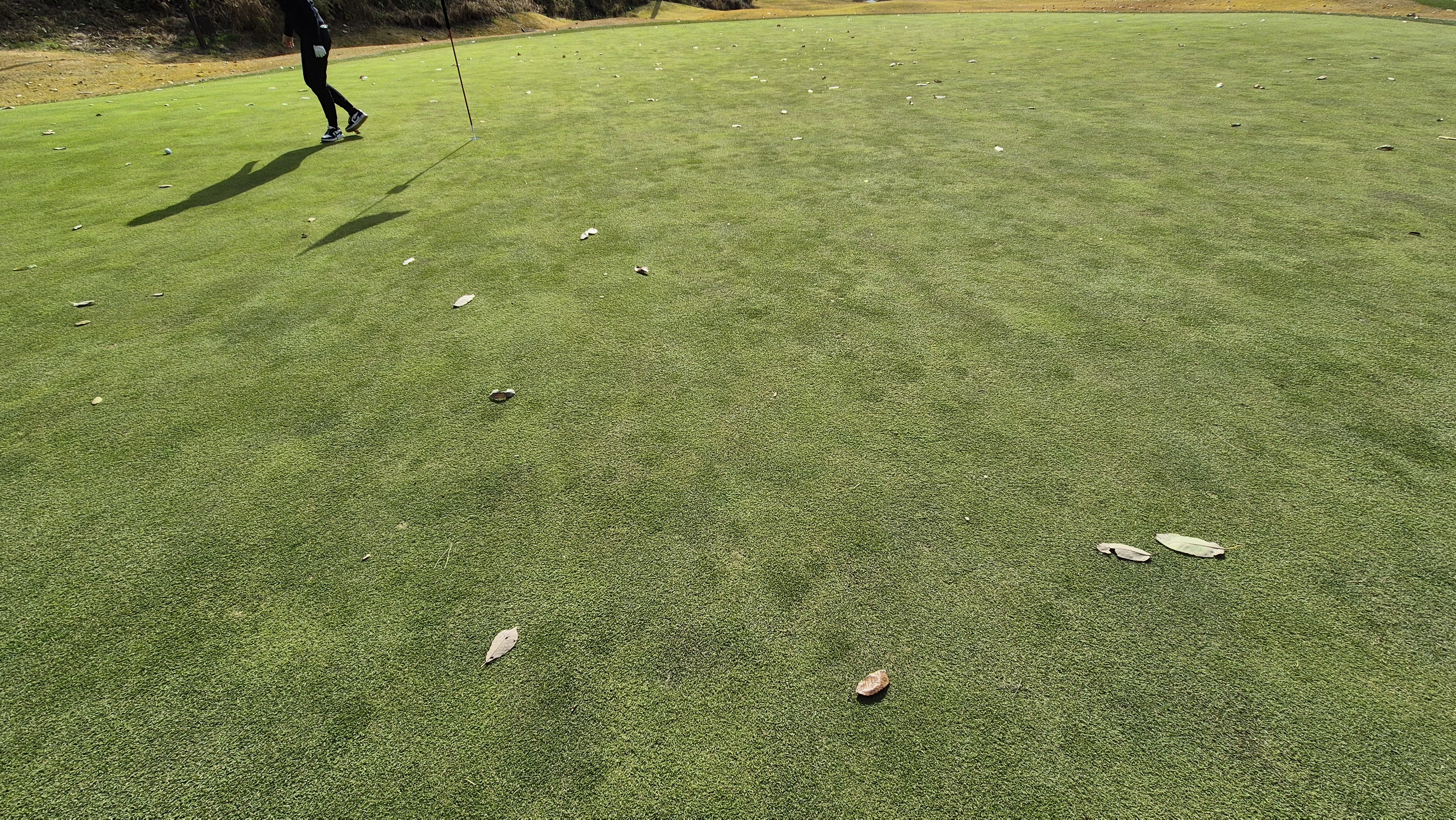 세종에머슨cc 밸리-마운틴 그린관리상태