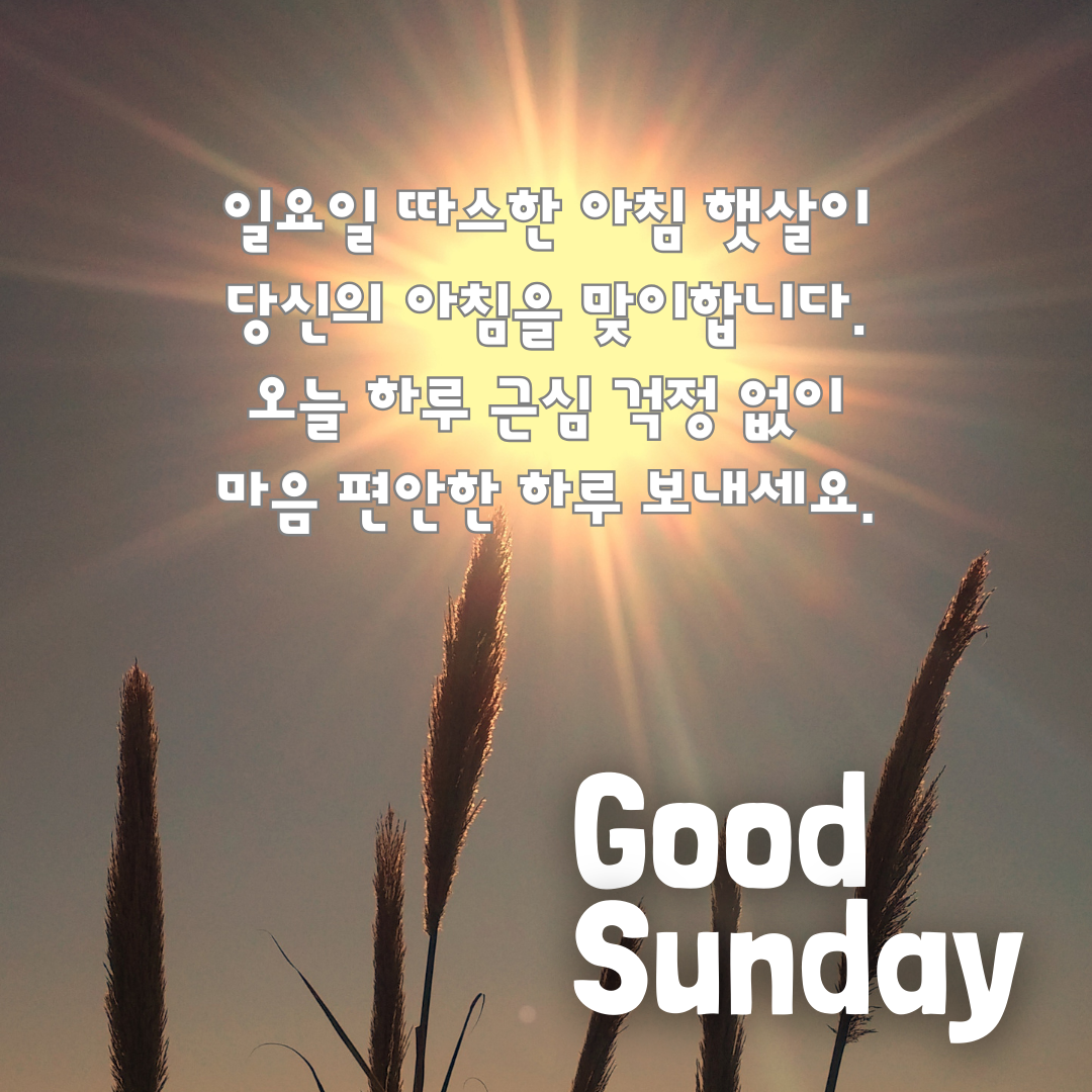 일요일 아침 인사말 이미지 문구 모음집
