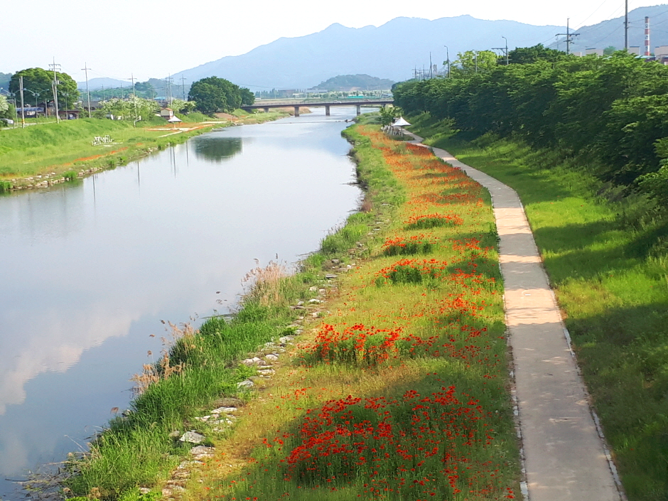 하천 옆에 산책길이 있다.