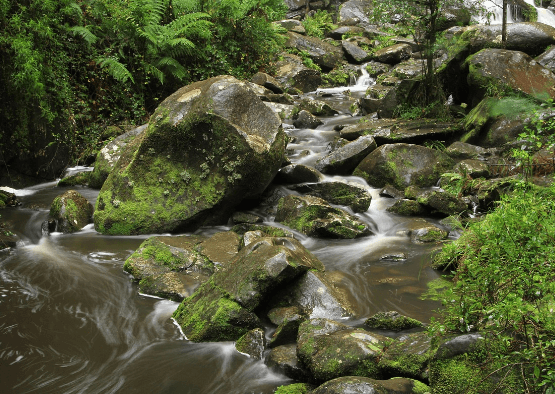 느림을 기록하는 힘, 일기의 철학