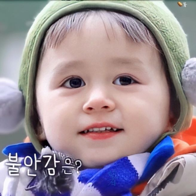 벤틀리 해밍턴 방송 활동