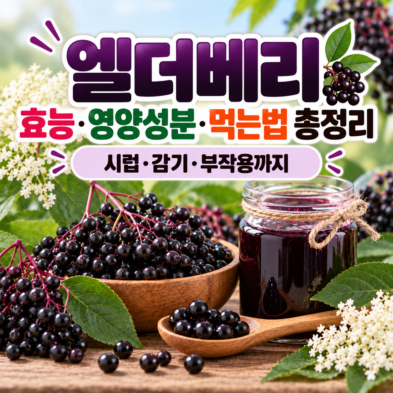엘더베리 효능