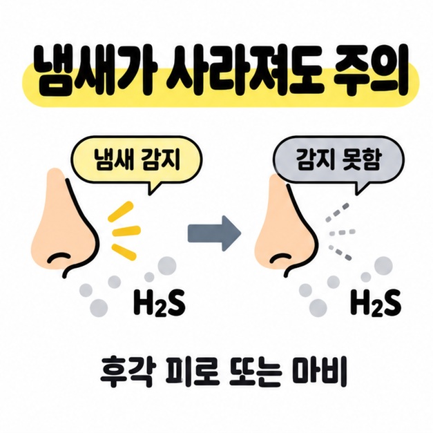 황화수소가 남아 있는 두 상태에서 코의 냄새 감지 여부를 비교하며 후각 피로 또는 마비 때문에 냄새가 사라져도 주의해야 한다고 설명하는 그림