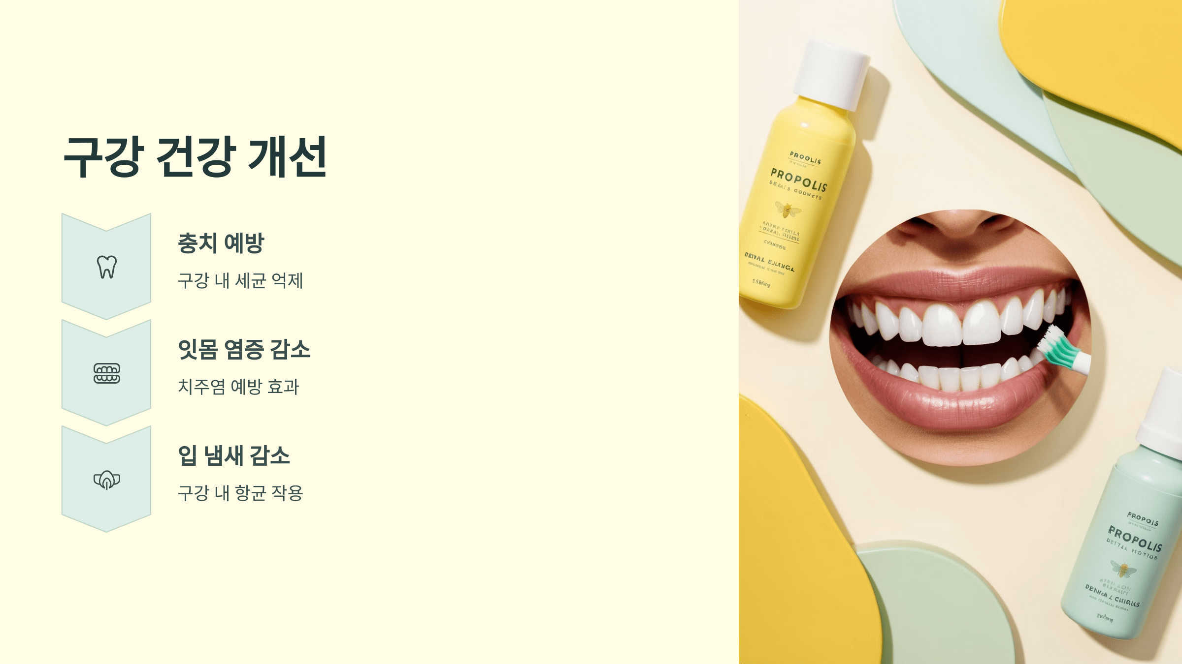 프로폴리스와 관련된 사진입니다.